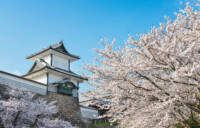 金沢城公園 金沢城公園は前田利家の居城として利用されていました。ライトアップにより昼と夜では異なる景観を楽しむことができます。