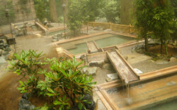 山中温泉 石川県加賀市にある温泉でかの有名な松尾芭蕉が扶桑三名湯と称えました。